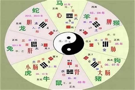 全字五行|全的五行属什么,全字的五行属性,全的寓意